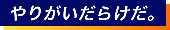 やりがいだらけだ。